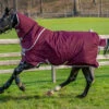 Horseware Amigo Hero Ripstop Plus Turnout