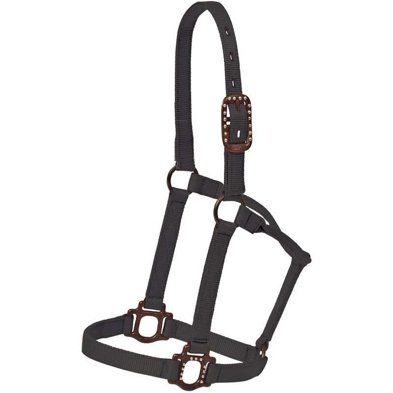 Mustang Antique Dot Halter - Image 7
