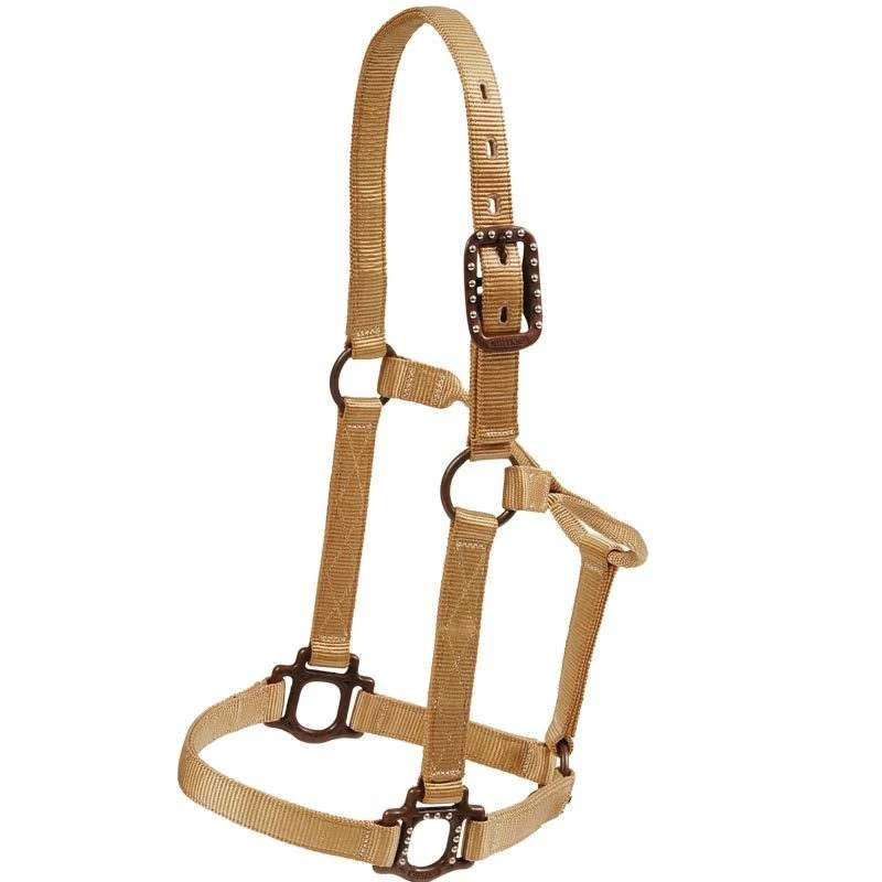 Mustang Antique Dot Halter - Image 8