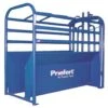 Priefert Roping Chute Add-on Section
