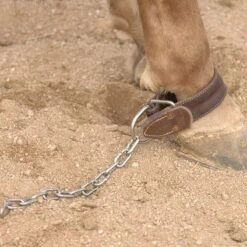 Professionals Choice Shutz Brothers Kicking & Pawing Chain