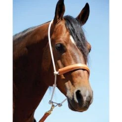 Martin Saddlery Rope Headsetter With Leather Covered Nosepiece