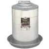Little Giant Fount Double Wall 3 Gallons