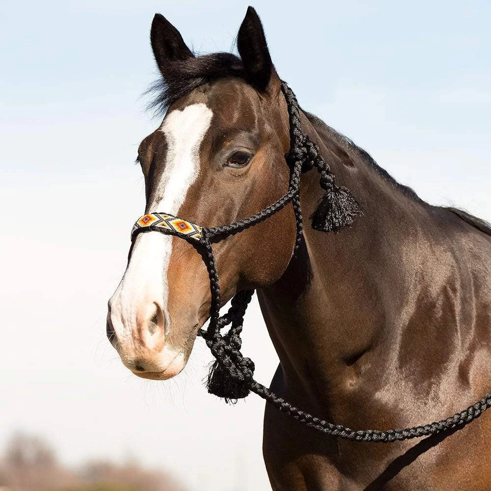 Professionals Choice Cowboy Braided Black Halter And Lead - Image 4