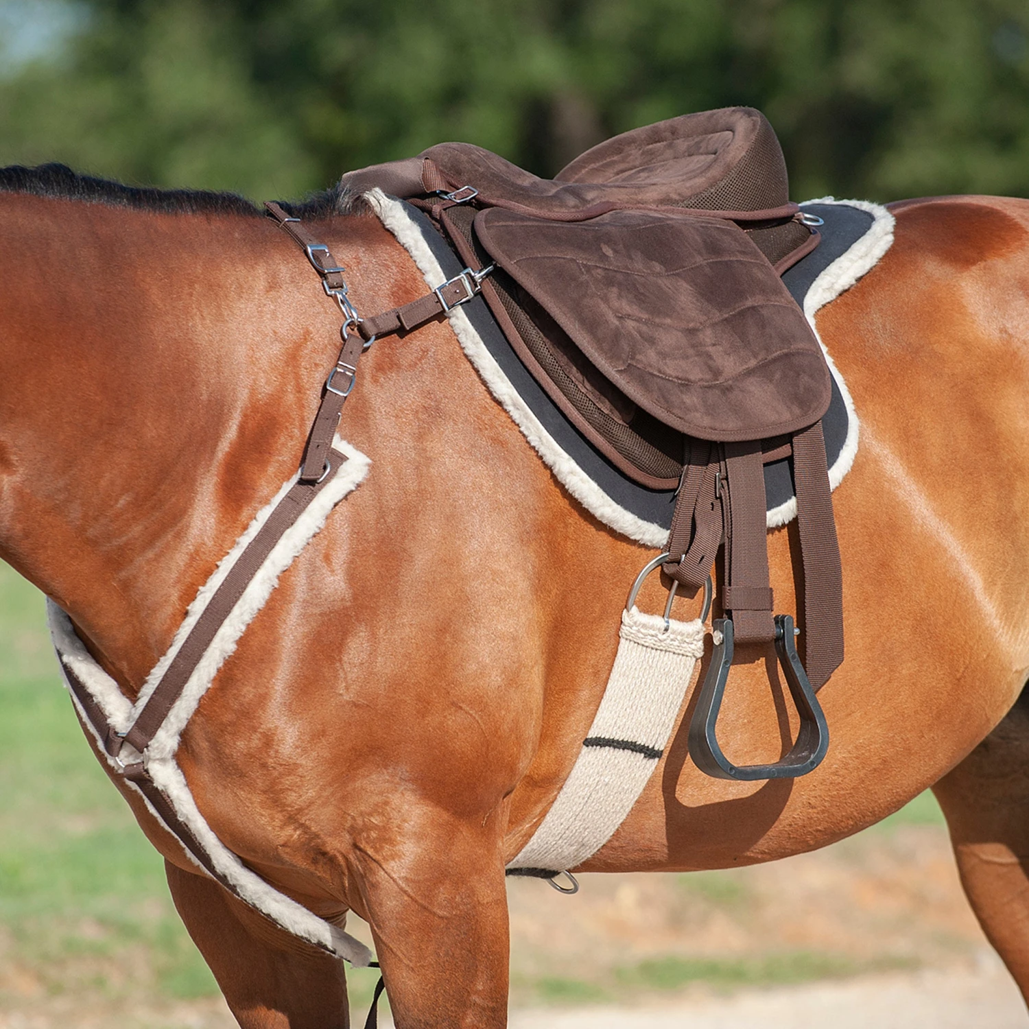 Cashel Company Soft Saddle G2 - Image 2