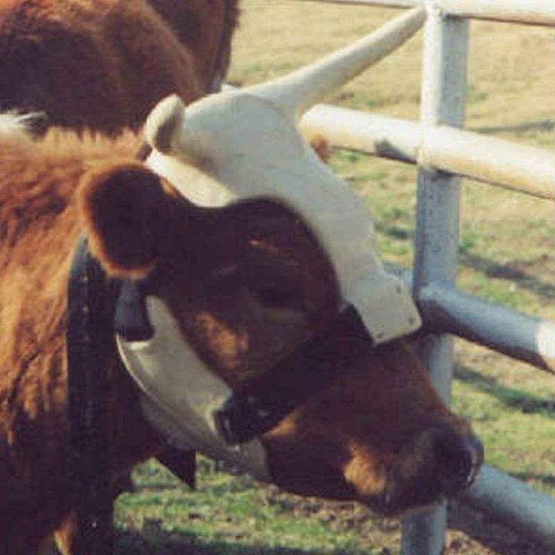 NRS Strap On Muley Horns - Image 3